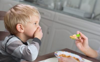 Chicken Nuggets Again?! When Your Child with Autism Refuses to Try New Foods