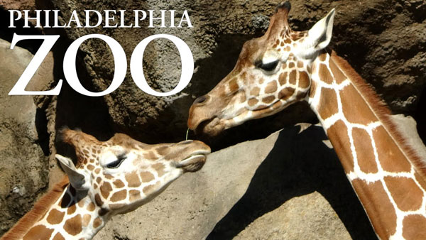 Apr 6: Autism Acceptance Day at Philadelphia Zoo